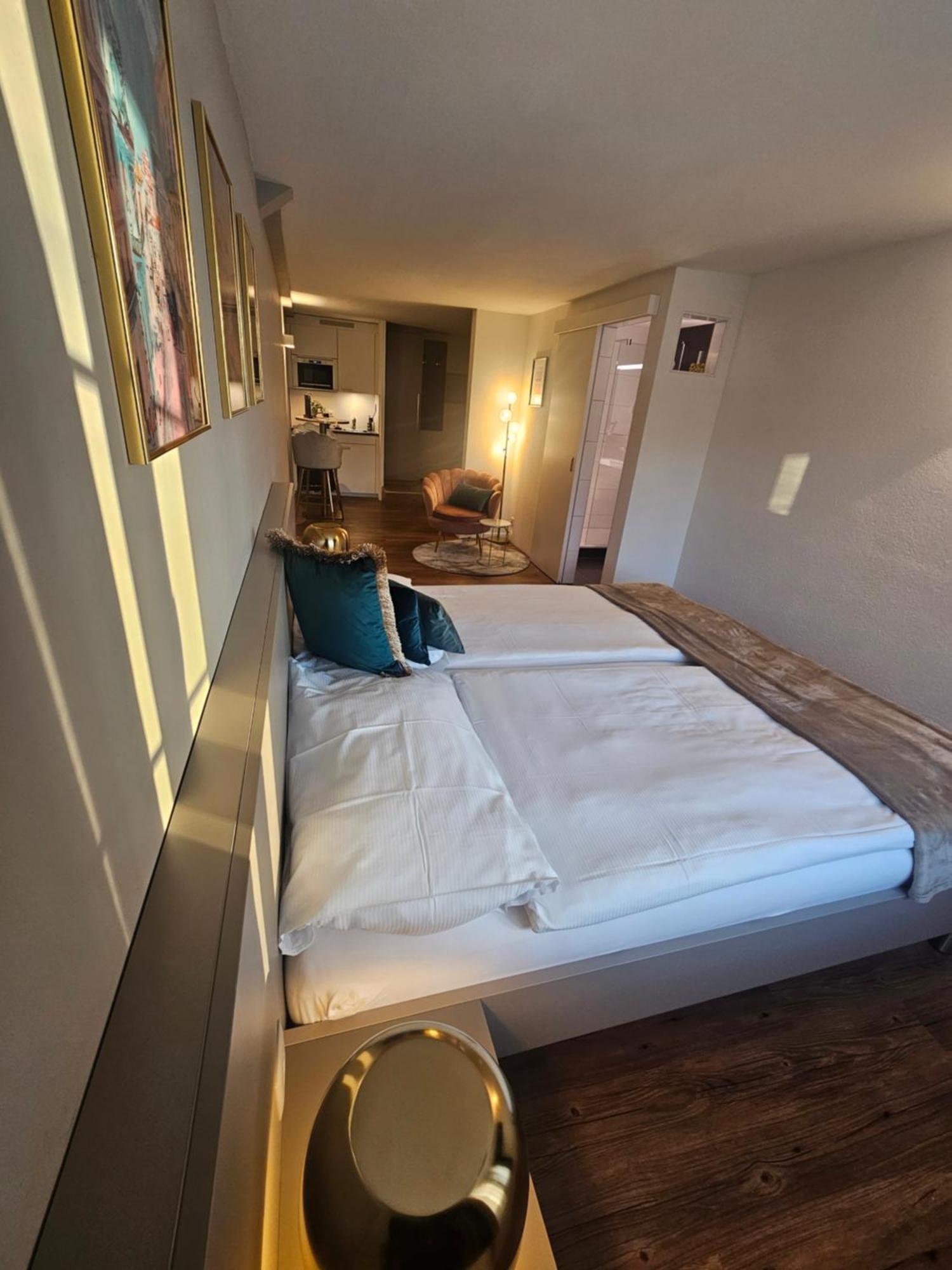 Hotel Apart-hôtel Le Pont-de-thielle 3*